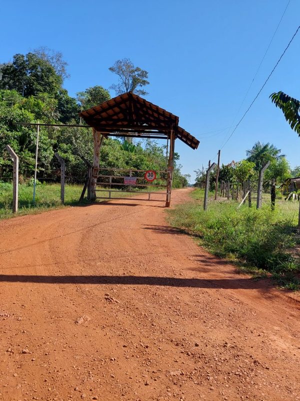 b159396b-808d-4b70-b778-8206528735d5